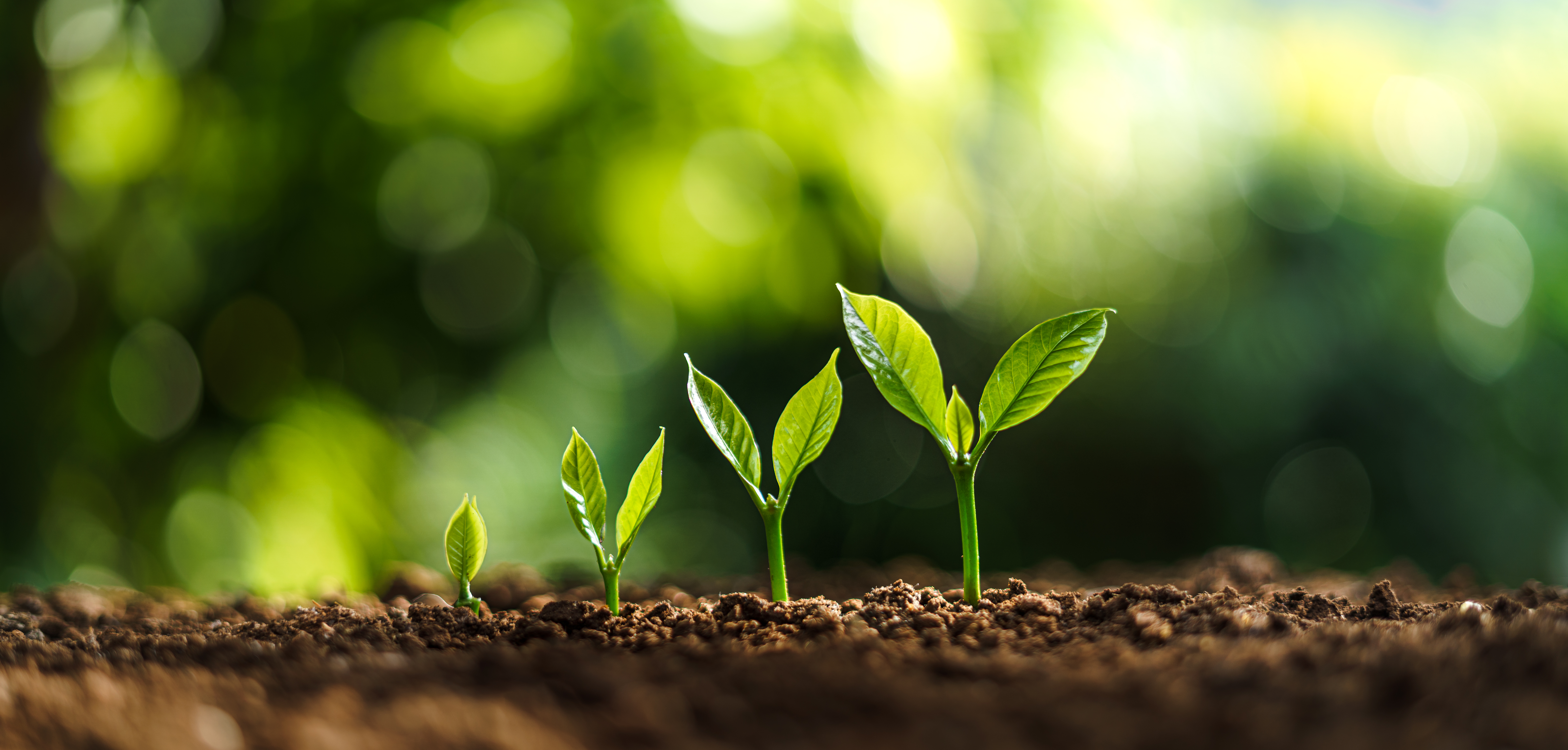 ‘Nursing Is About Lifelong Learning—You’ll Be Surprised by How Much You Grow’